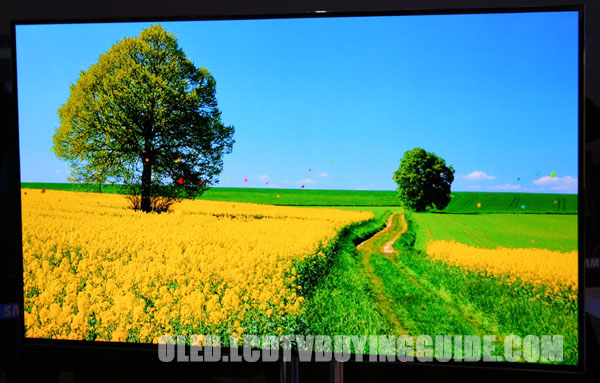Samsung KN55F9500 OLED TV